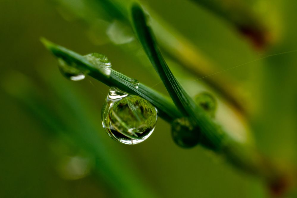 Photograph by Никита Иванов