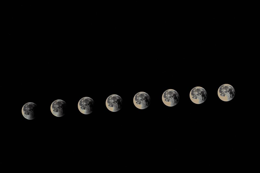 Photograph by Сергей Синягин