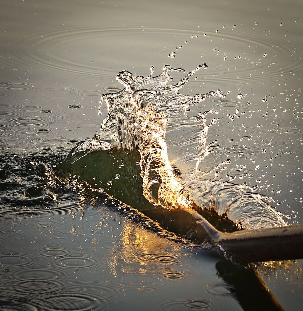 Photograph by Михаил Саидов