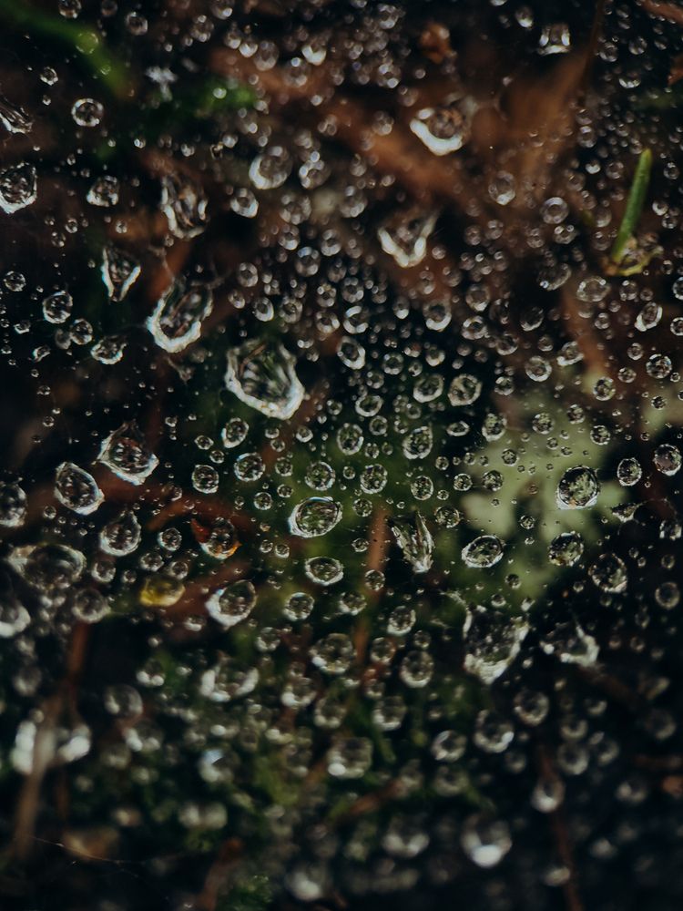 Photograph by ALISA NEZHINSKAYA