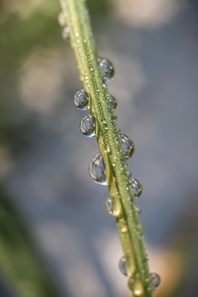 Photograph by Наталья Островцева