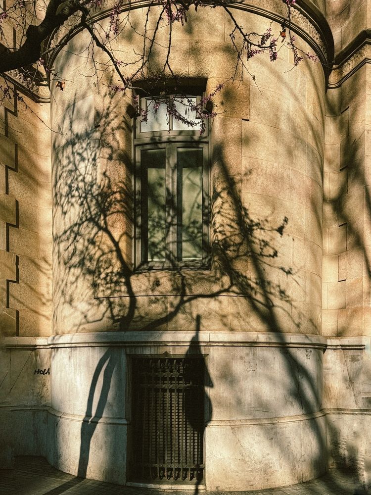 Photograph by Julia Smilovitsky