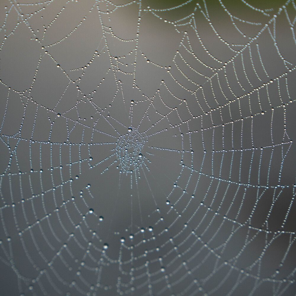 Photograph by Максим Шевченко