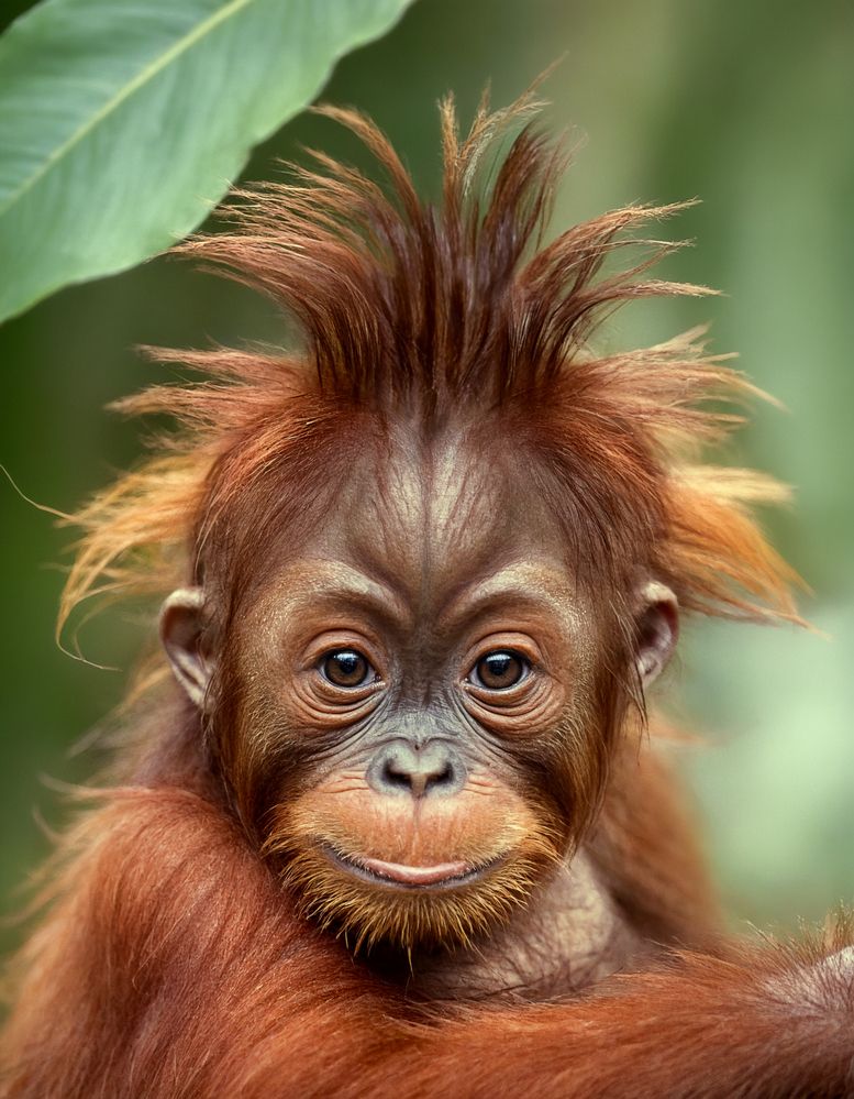 Фотография автора Наталья Натальченко