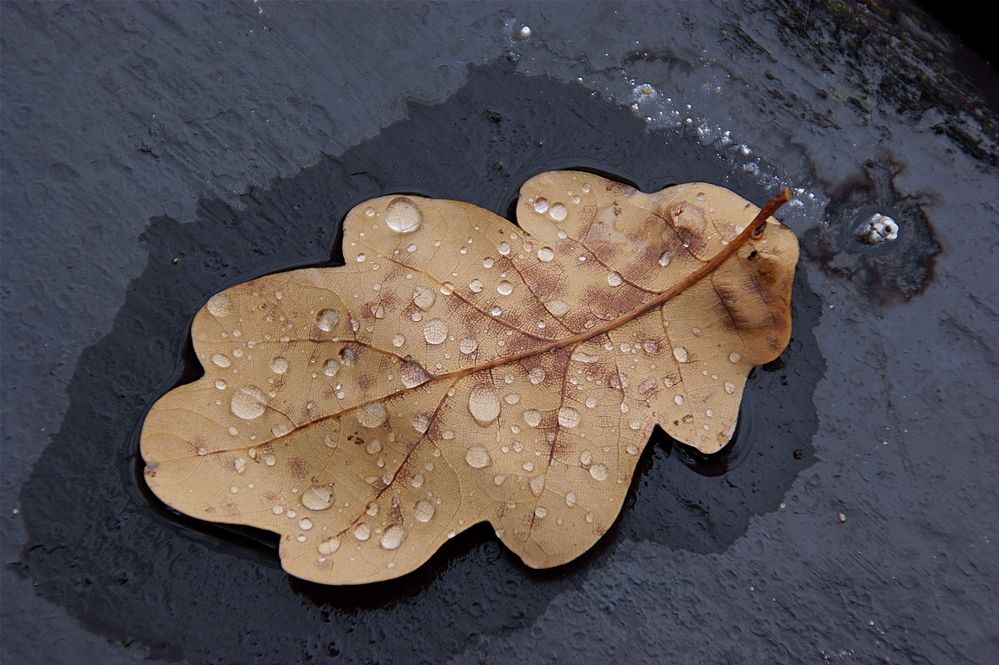 Фотография автора Sergej Roor