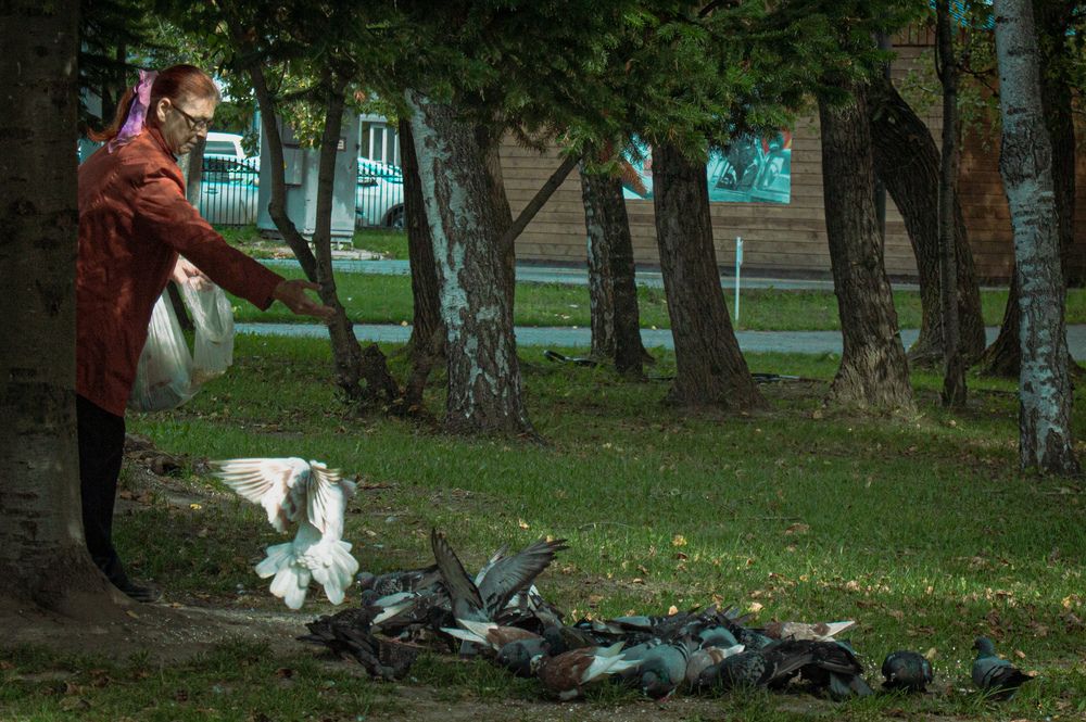 Photograph by Маргарита