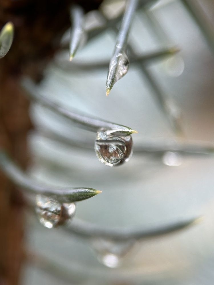 Фотография автора Надежда Уфимцева