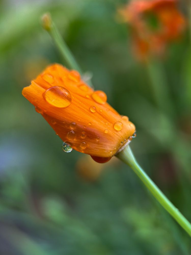 Фотография автора Надежда Уфимцева