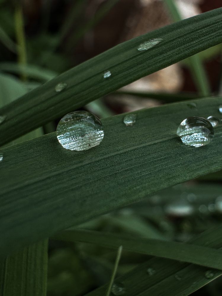 Photograph by Наталья Чехова
