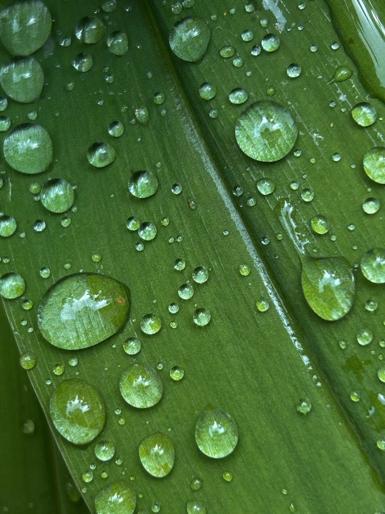 Фотография автора Надежда Уфимцева