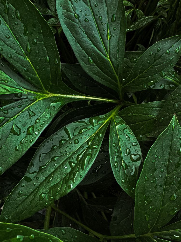 Photograph by Наталья Чехова