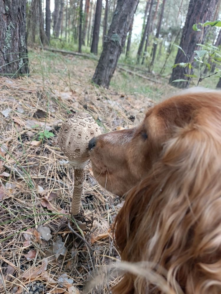 Photo #12574122
