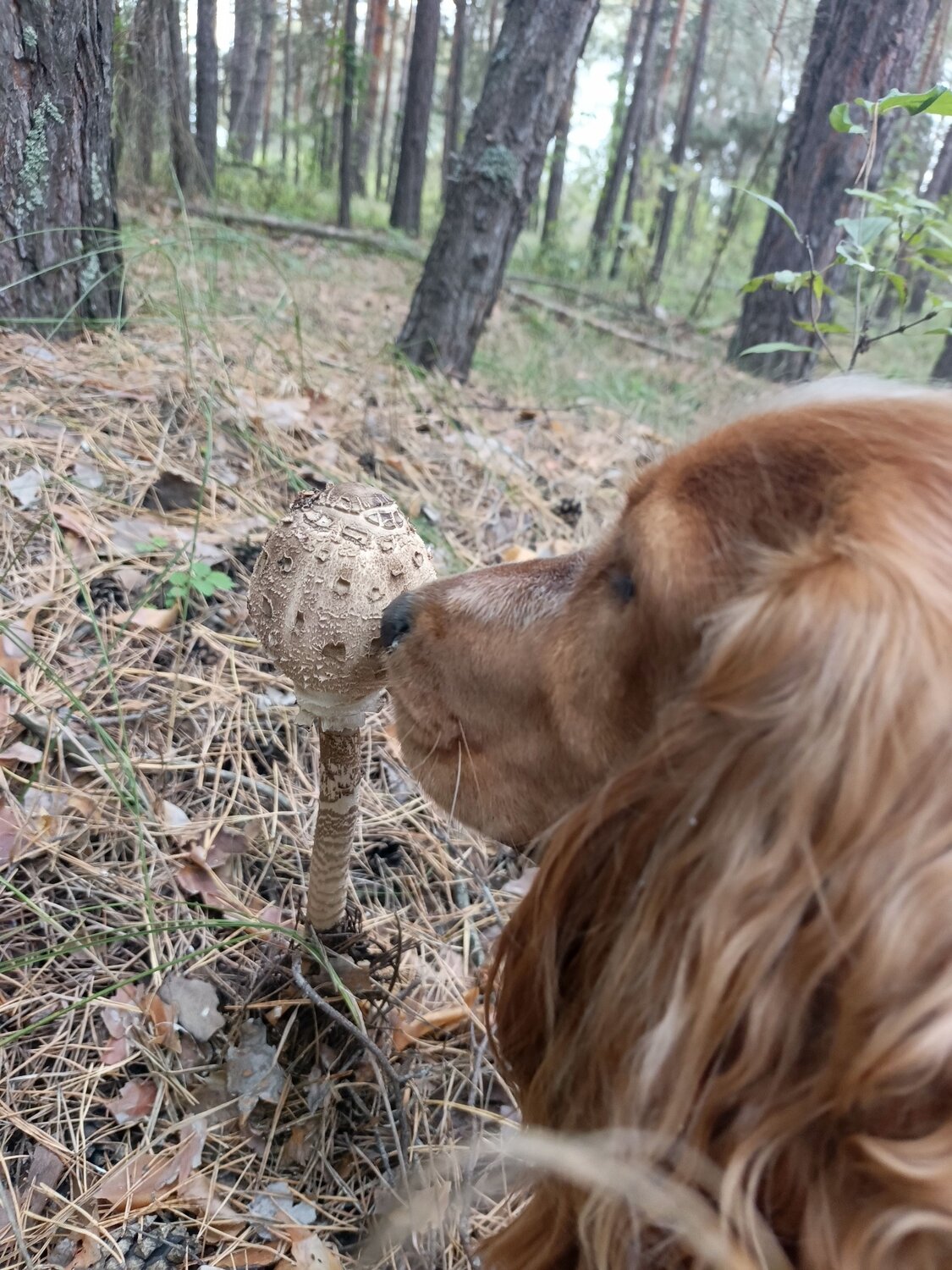 Photo #12574122