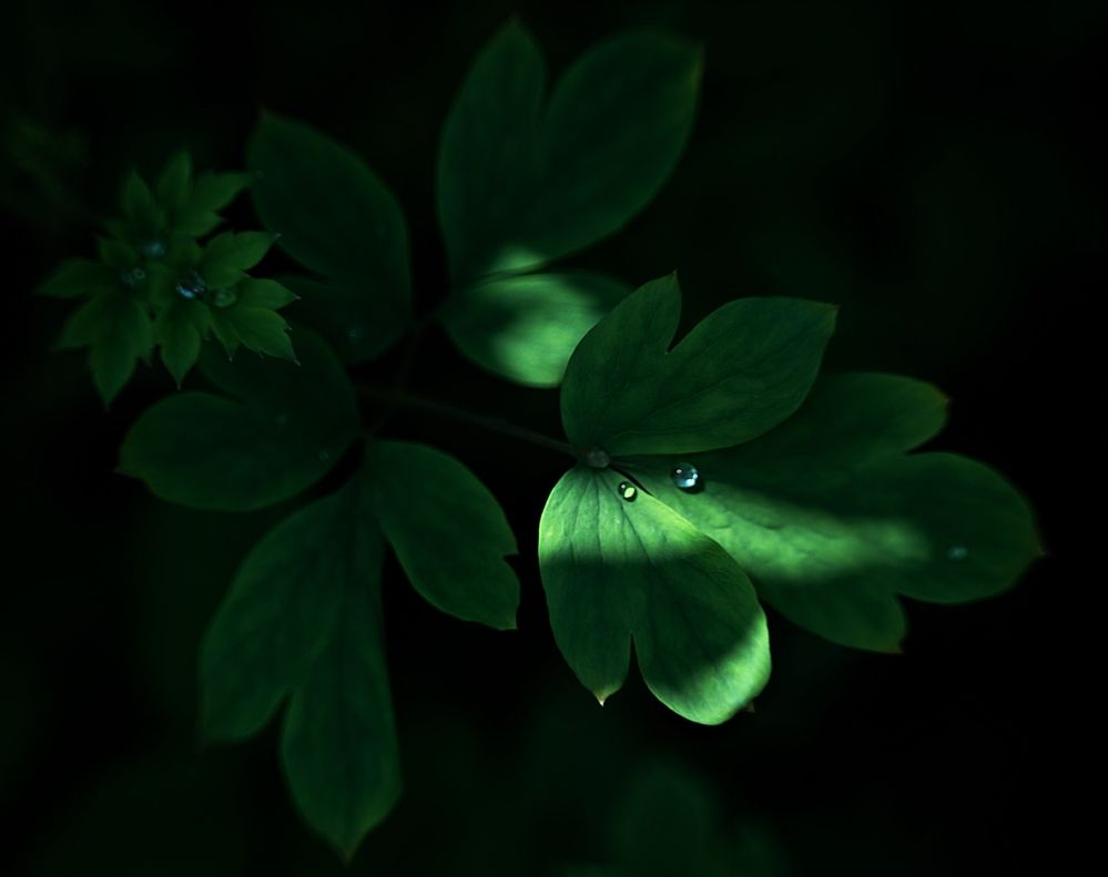 Photograph by Александрова