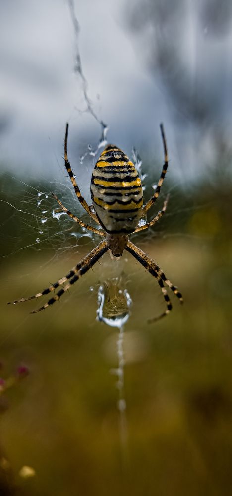 Photograph by Konstantin Martynov