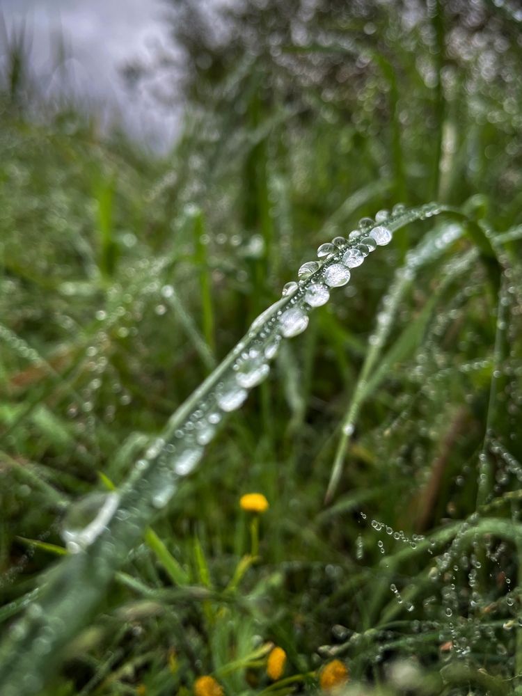 Photograph by Sergei Komlev