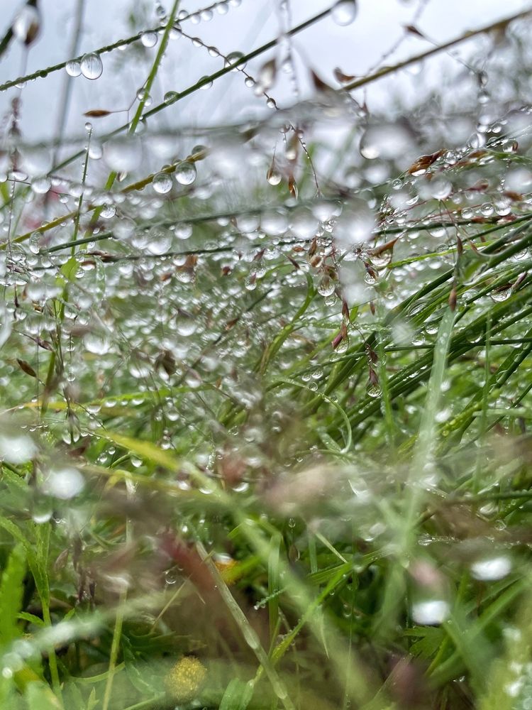 Photograph by Sergei Komlev