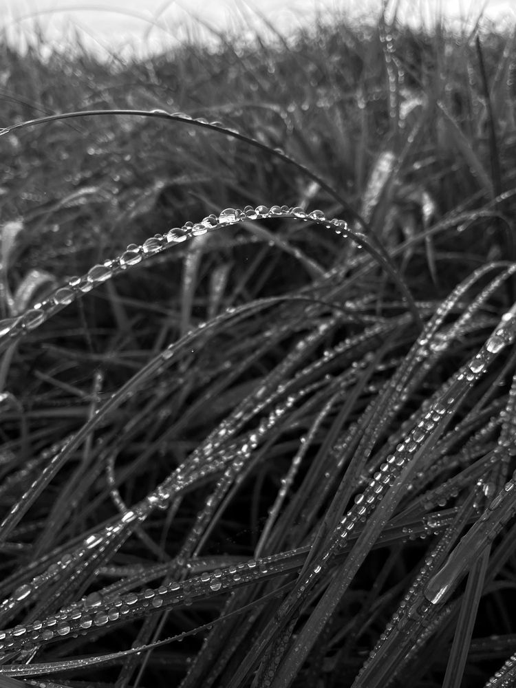 Photograph by Sergei Komlev