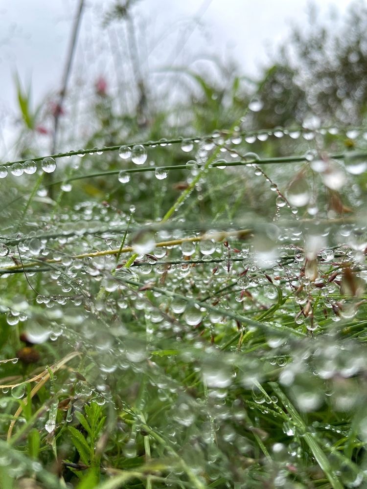 Photograph by Sergei Komlev