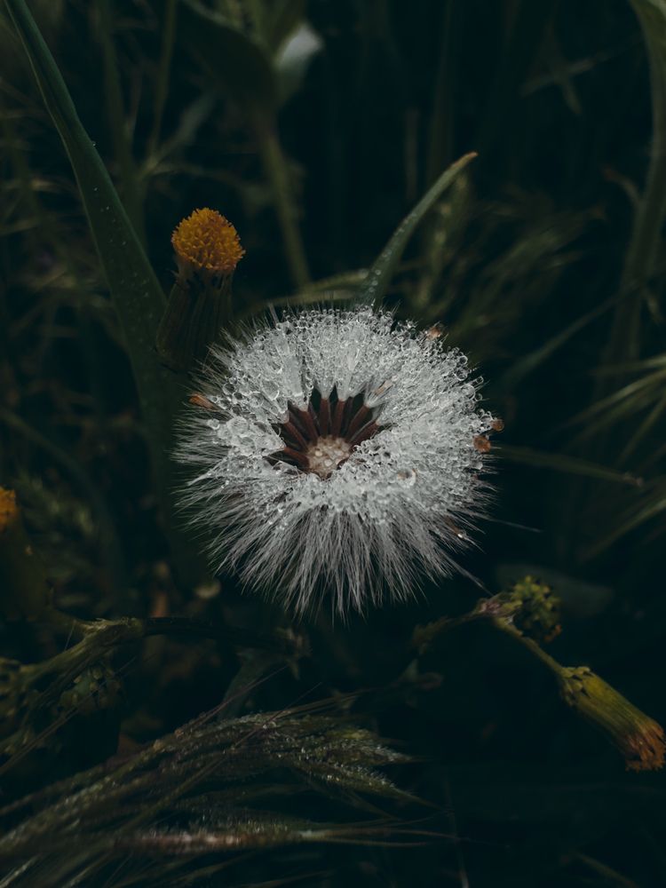 Photograph by Анна Голубцова