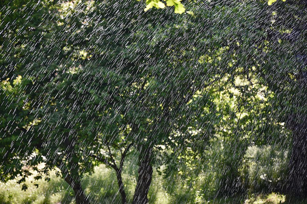 Photograph by Stojan Saveski