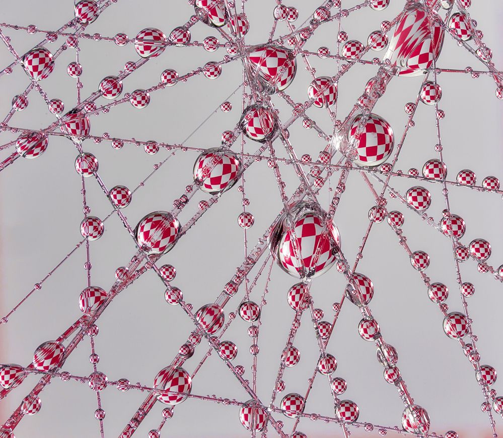 Photograph by Boris Bekelman