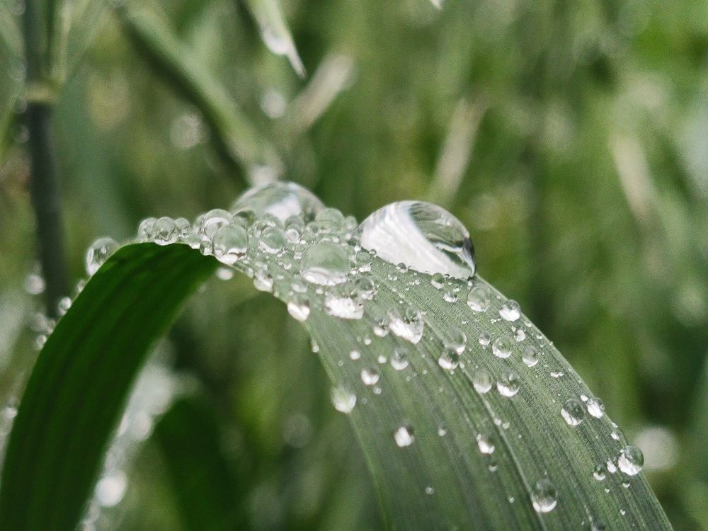 Photograph by Татьяна Бешенкина