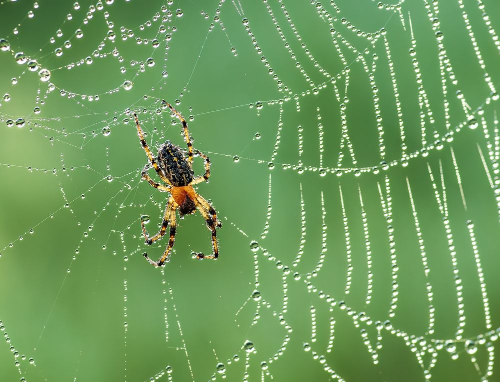 Photograph by Valdir Hobus