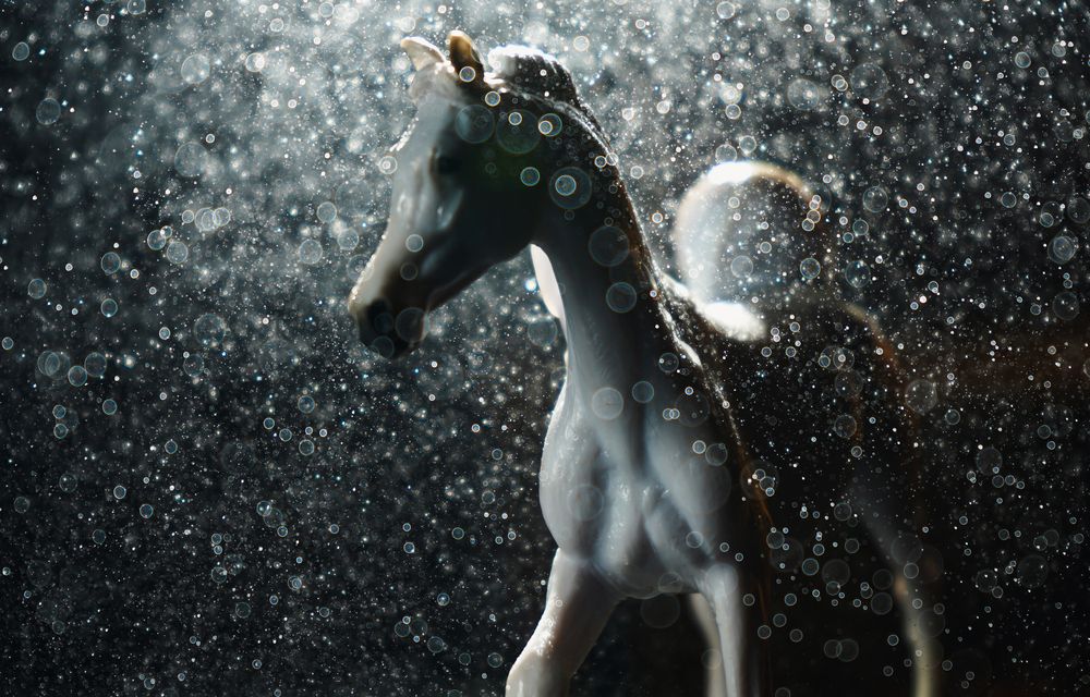 Фотография автора Анастасия Сидоренко