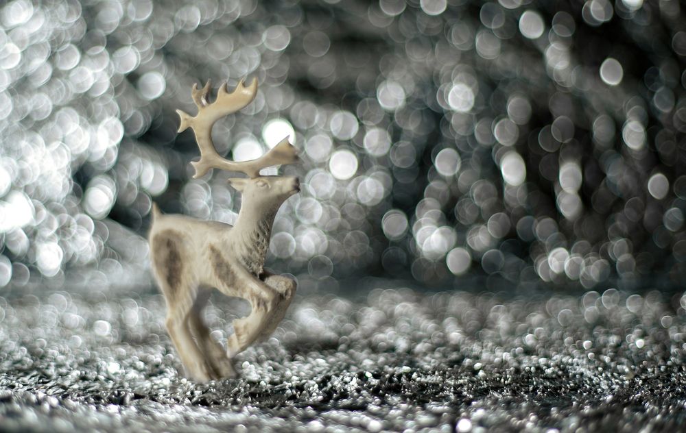 Photograph by Анастасия Сидоренко