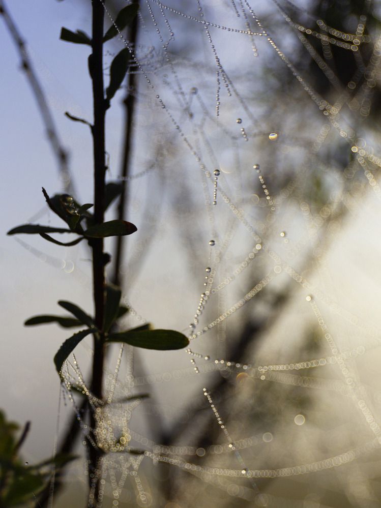 Фотография автора Александра Константинова
