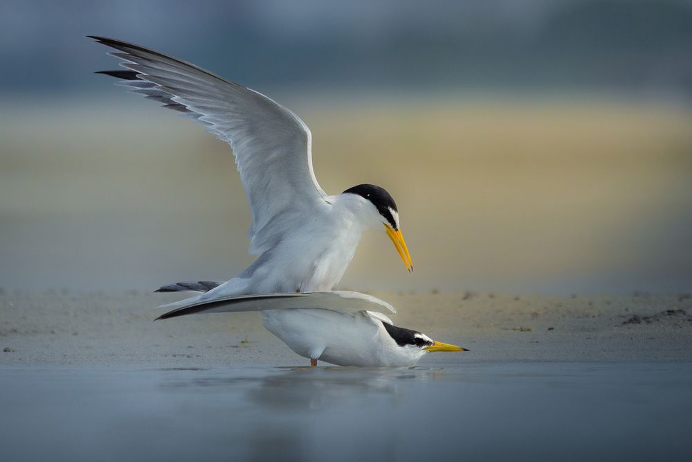 Photograph by Ishtiyak Shadab