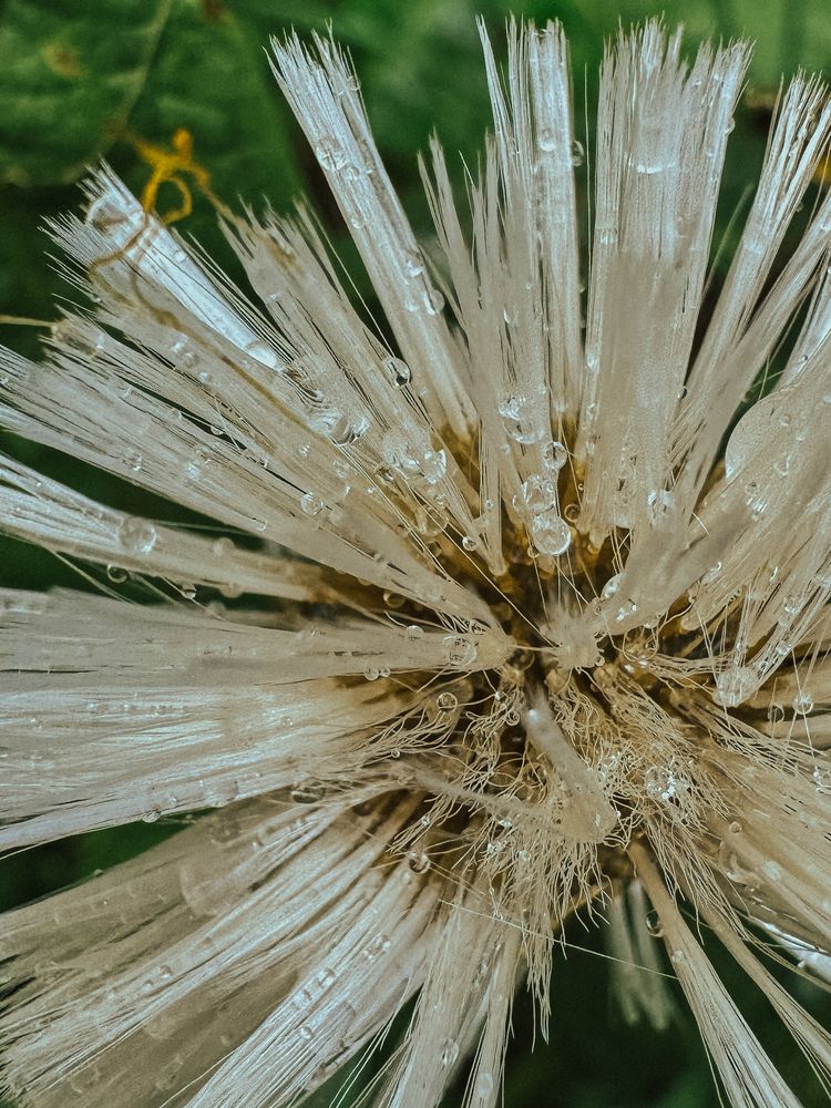 Photograph by Александра Кишикова