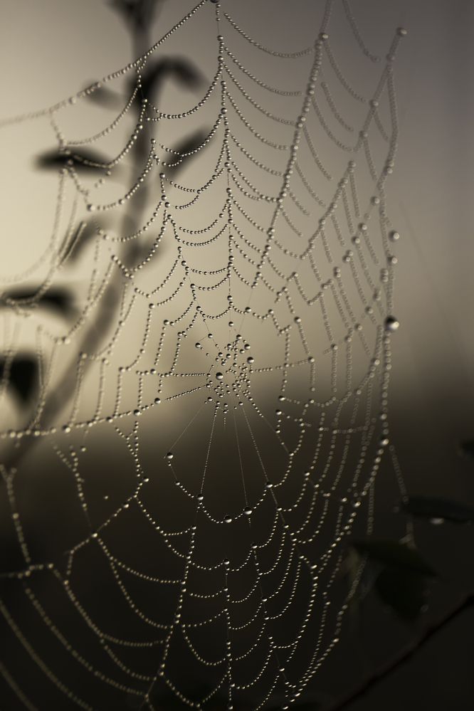 Фотография автора Александра Константинова