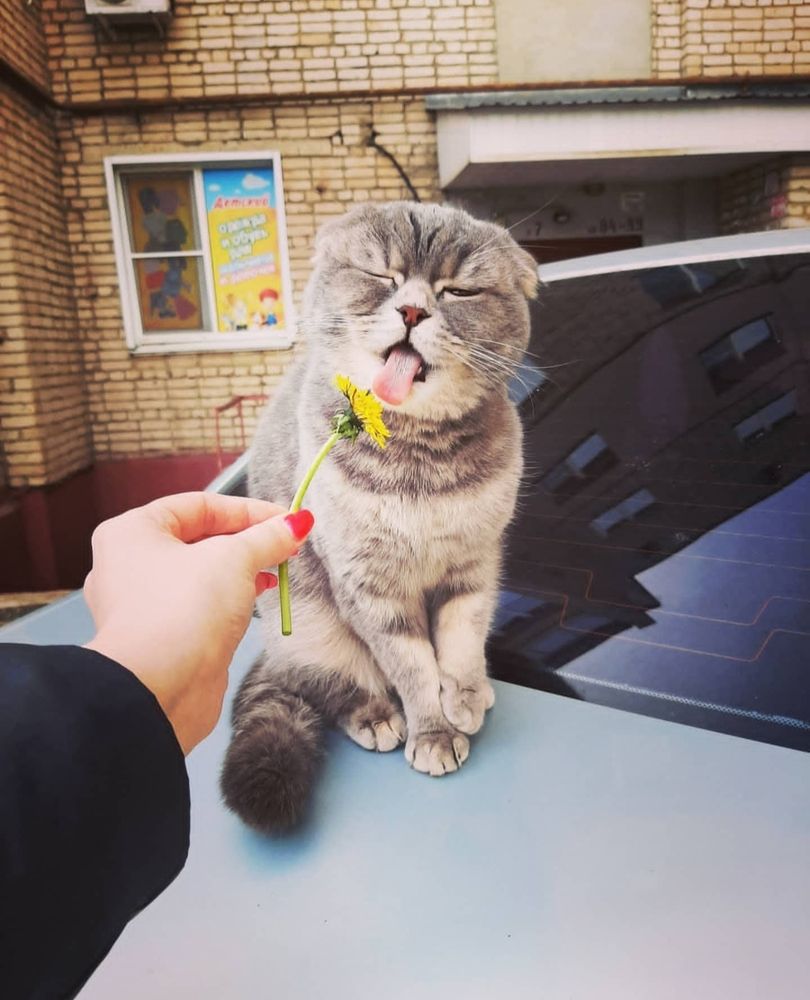 Photograph by Татьяна Нестерова