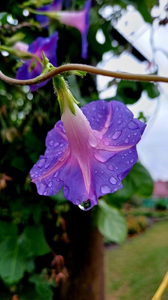 Photograph by Елена Воронова