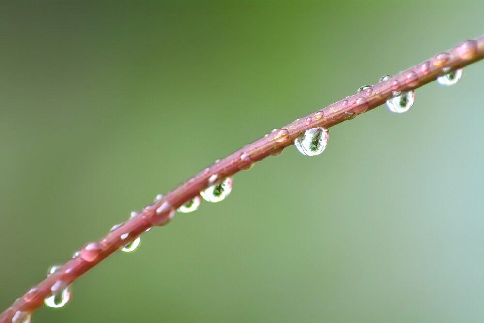 Photograph by София Бояринцева