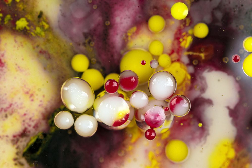 Photograph by Alaa obeid