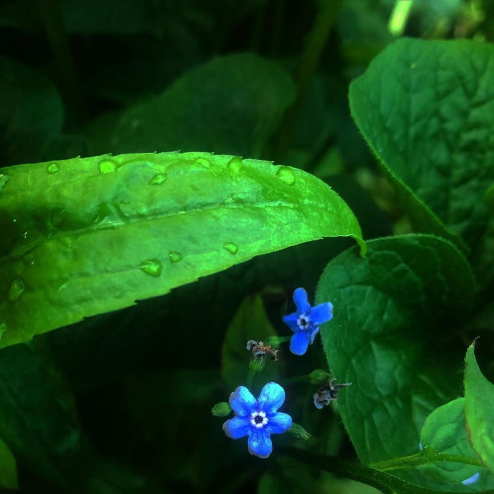 Photograph by Яна Цицилашвили