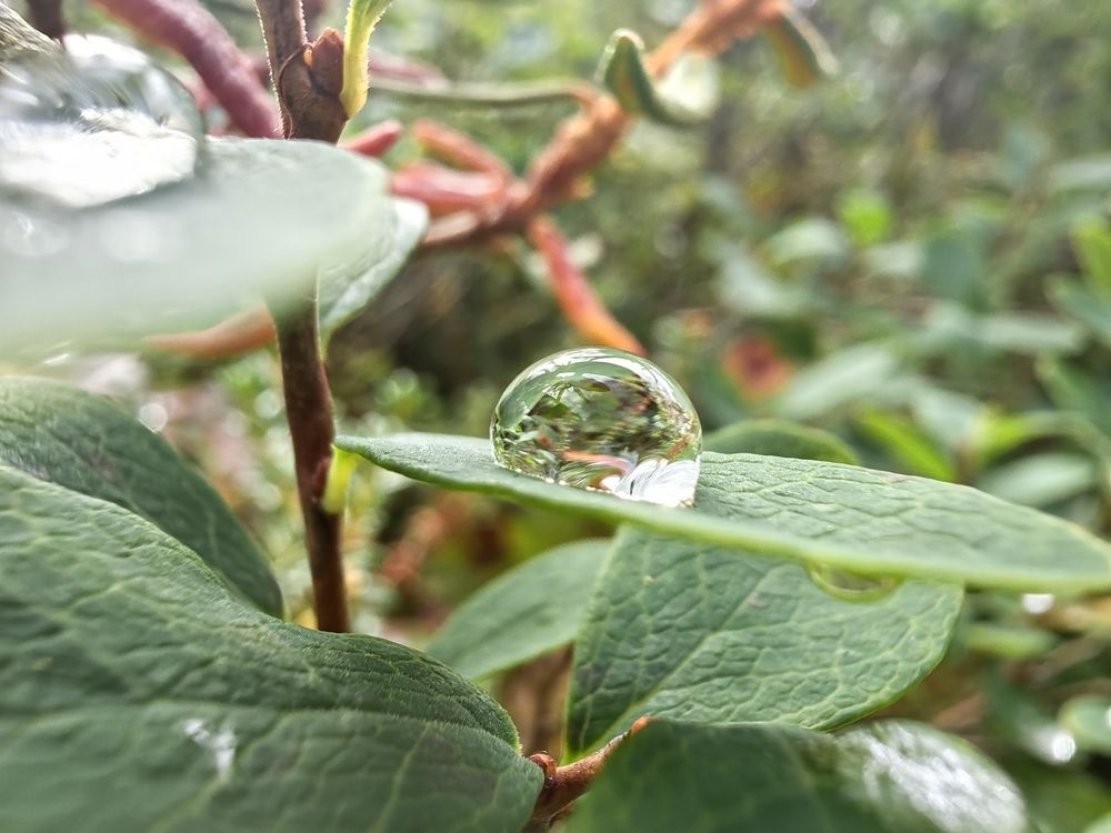 Фотография автора Sparc-jr