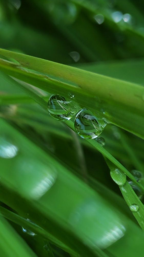 Фотография автора Ольга Быстрова