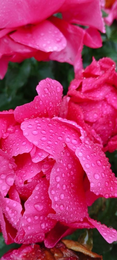 Photograph by Любовь Макарова