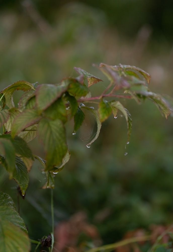 Photograph by Екатерина Одинцова
