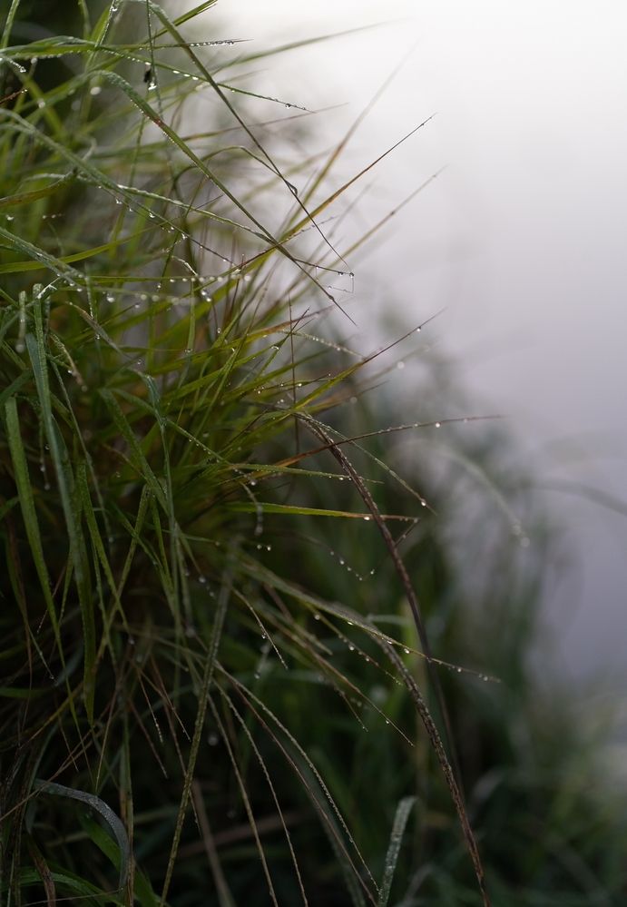 Photograph by Екатерина Одинцова