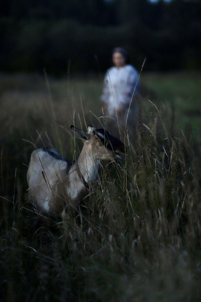 Photograph by Вера Сдвижкова