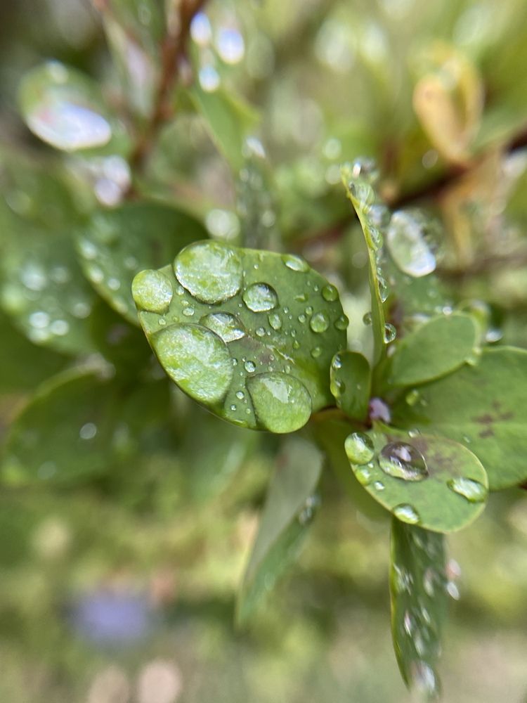 Photograph by Виктория Лаур