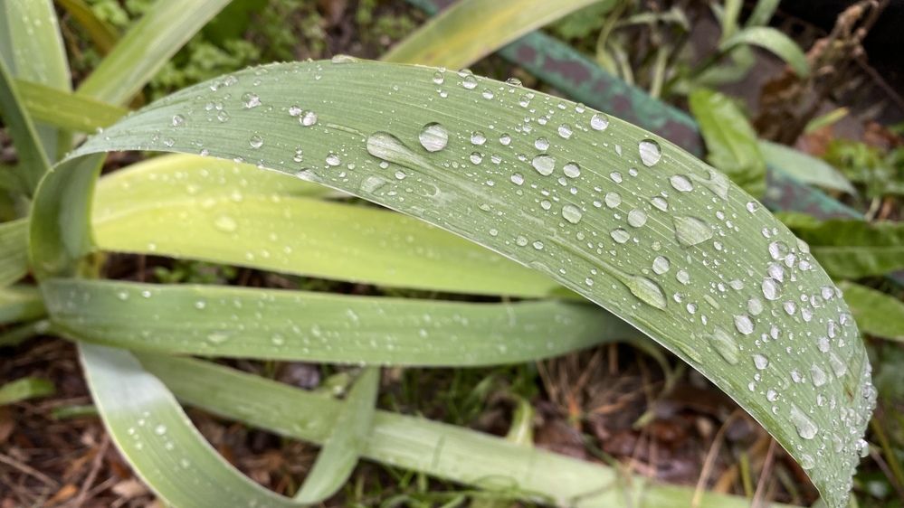 Photograph by Сергей Смирнов