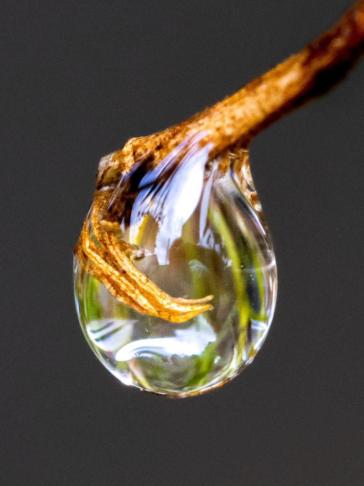 Photograph by Silvio José