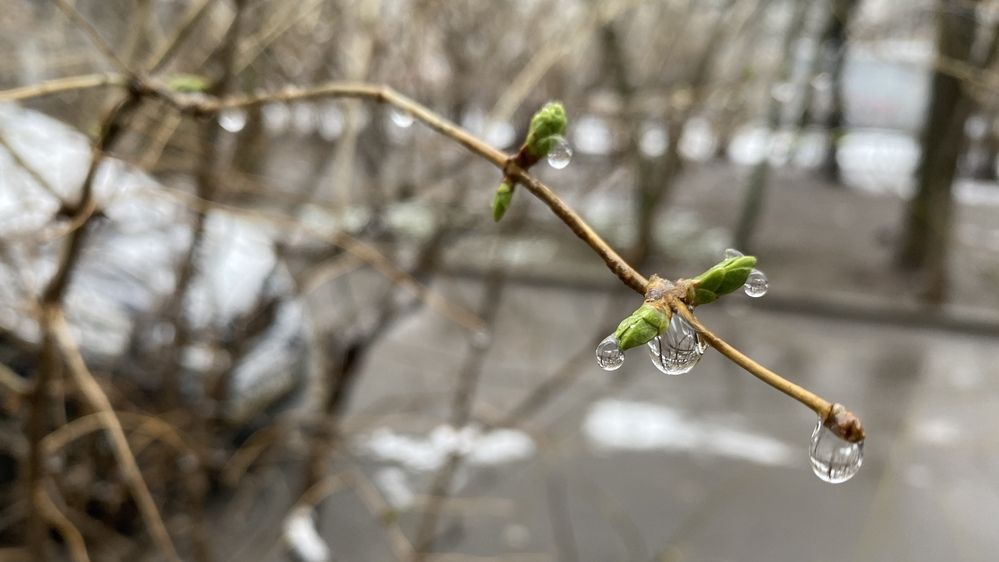 Photograph by Сергей Смирнов