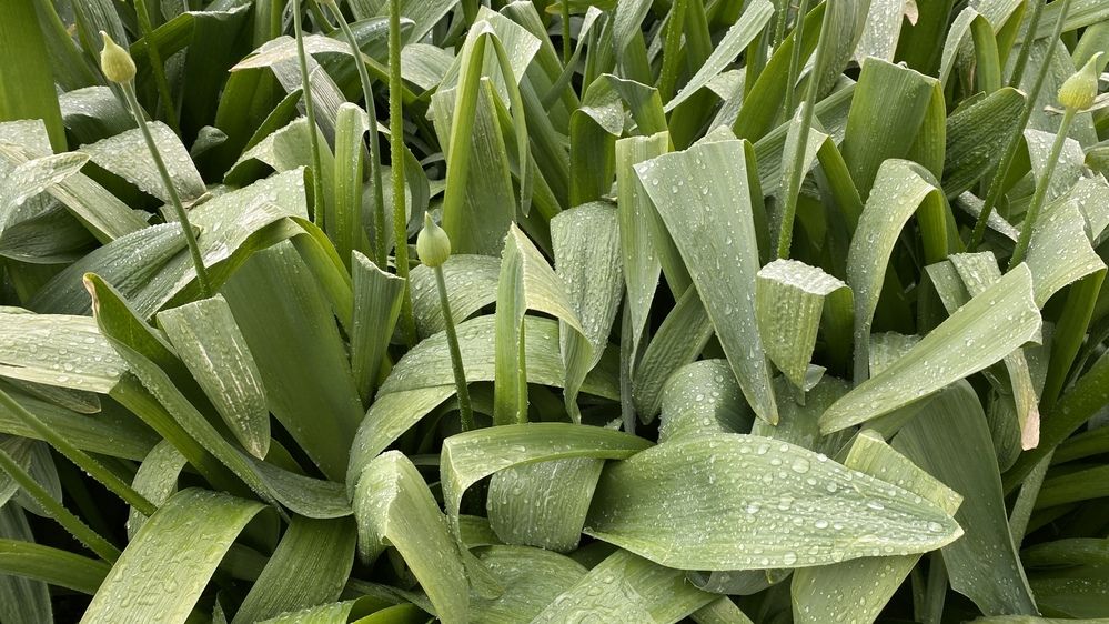 Photograph by Сергей Смирнов